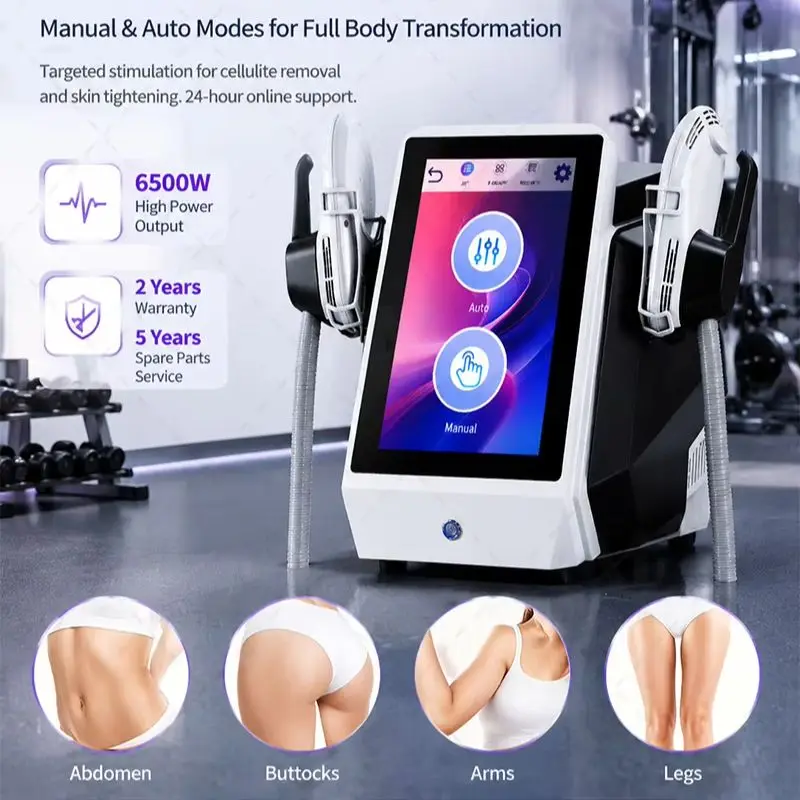 Peralatan Kecantikan Tubuh EMS - Rf Microneedling Machine Fractional ulasan dan harga